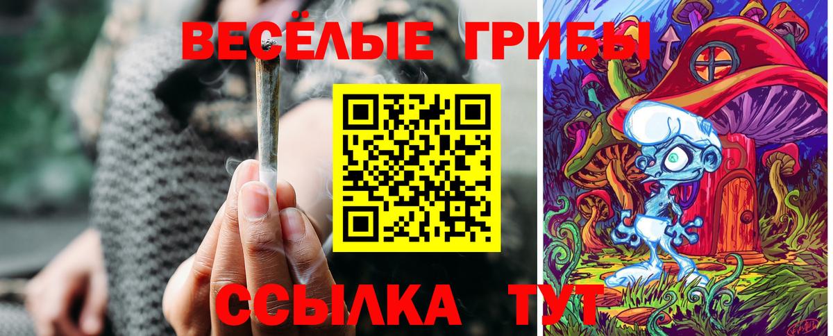 Калуга  Псилоцибиновые грибы MAGIC MUSHROOMS  Вход с VPN 