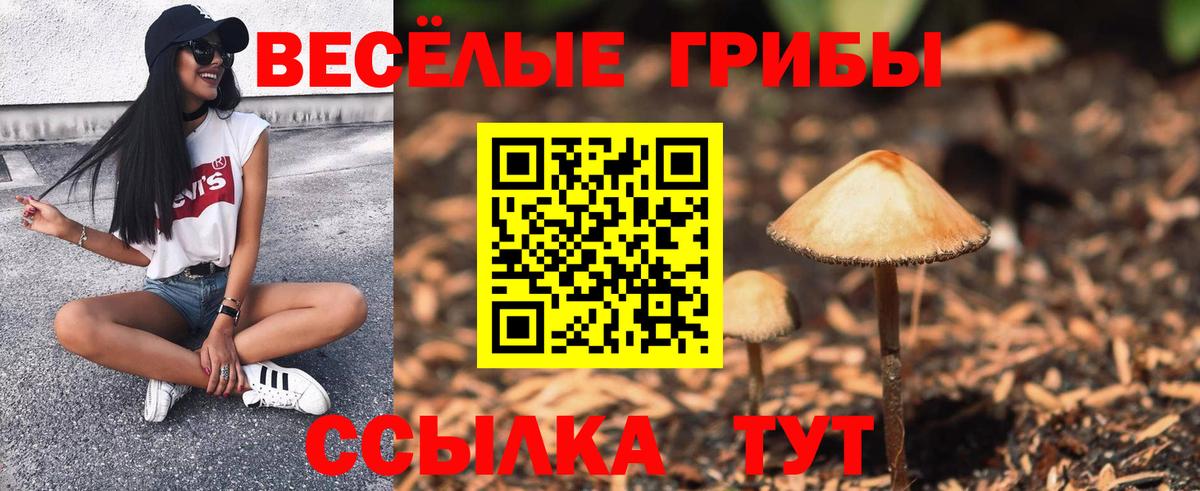 Галлюциногенные грибы прущие грибы Калуга